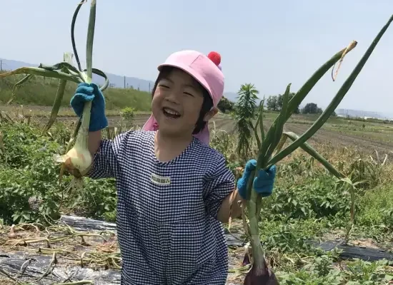 減農薬・農薬不使用栽培